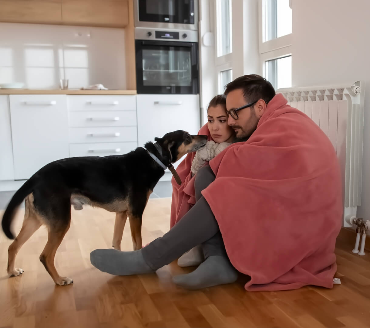 Breakdown and repairs-Excellere